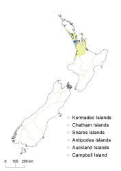 Nephrolepis exaltata distribution map based on databased records at AK, CHR, WELT & UNITEC.
 Image: K.Boardman © Landcare Research 2018 CC BY 4.0